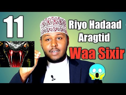 Subxaanallah 11 Riyo mid ka mida hadii aad ku riyootid ogoow in Lagu sixray