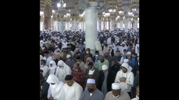 قبس من الحرم | ما تيسر من سورة يس | الشيخ أحمد بن طالب بن حميد