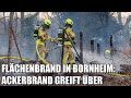 Flächenbrand in Bornheim: Feuer auf Acker greift auf Waldstück und Gartenhaus über | 13.03.2022