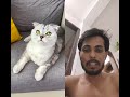 bolane wali Billi 🐱#cat #cats #catlife #shorts #catvideos #catshorts #vairal #comedy #catworld