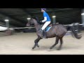 Ref:xFWP8hraJCk Romance du cochet et cyril collon, cross indoor 0,95m - la vayrie bourgbarr� (26/01/2020)
