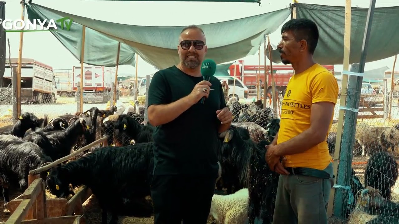 Ne satan memnun ne alan! Konya Kurban Pazarı 2024