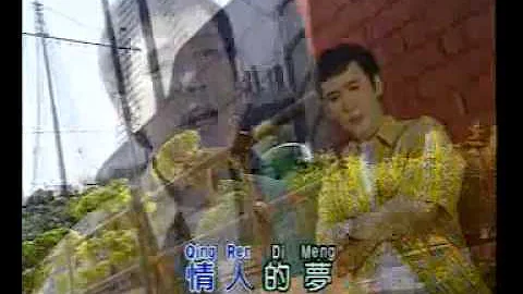 - Li Mao Shan - meng nan wang -