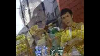 李茂山 - Li Mao Shan - meng nan wang - 夢難忘