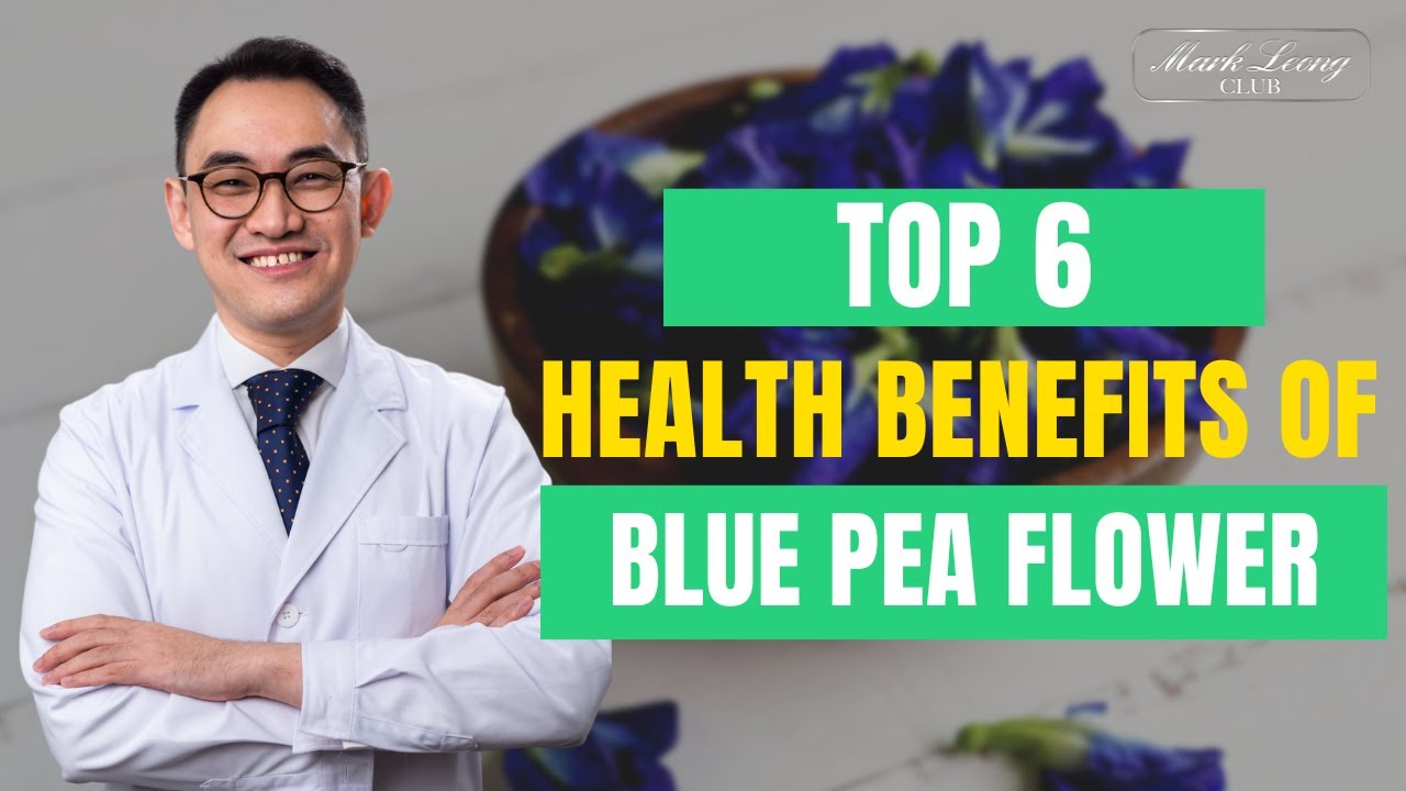 Top 6 Health Benefits Of Blue Pea Flower! YouTube