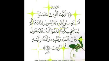 سورة الأنفال الآية ( 24 )