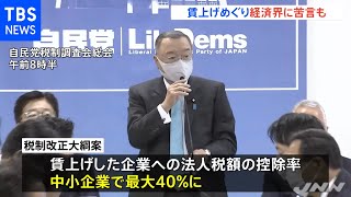 与党の税制改正大綱案判明 賃上げめぐり経済界に苦言