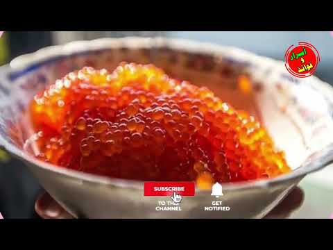 إكتشف ما يحدث لجسمك بعد تناول بيض السمك او الكافيار و اضراره المحتملة