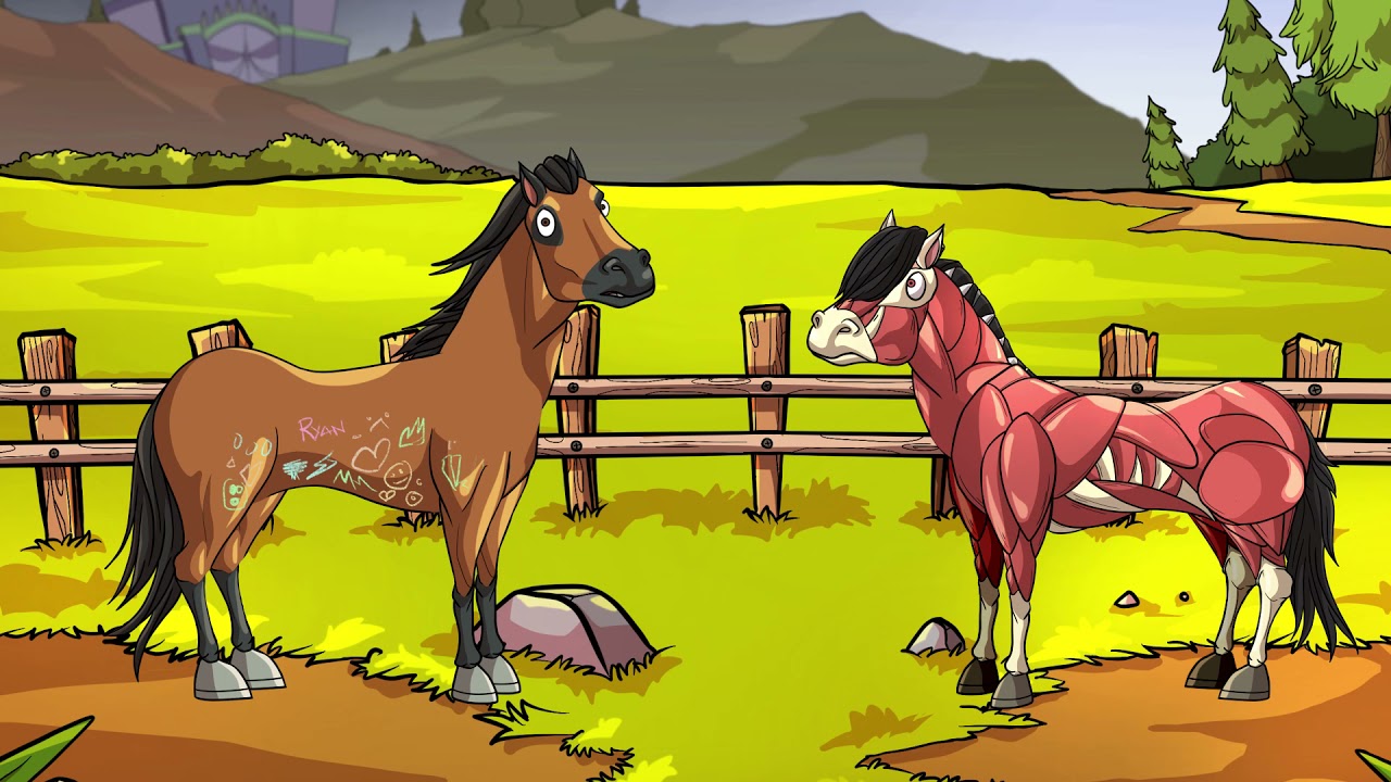 THE GLUE FACTORY SHOW. We're making an animated dark comedy… | by Glue Factory | Medium