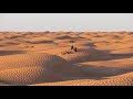 Oasis de ksar ghilane  porte du dsert saharien  tunisie