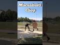 Macuahuitl Chop #hema #combatsport #swordfighting #martialarts #dothingsyoudontwanttodo #ax #shield