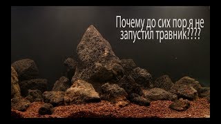 Как я боролся с мутной водой, убираем взвесь из аквариума.