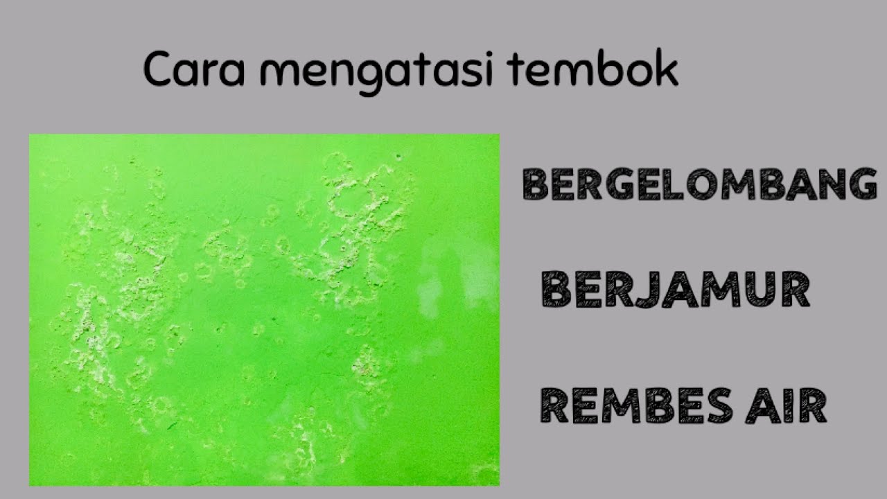 Cara Mengatasi  Tembok  Bergelombang Berjamur dan  Rembes 