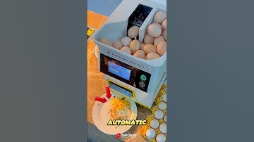 Fried egg cooking innovation from China