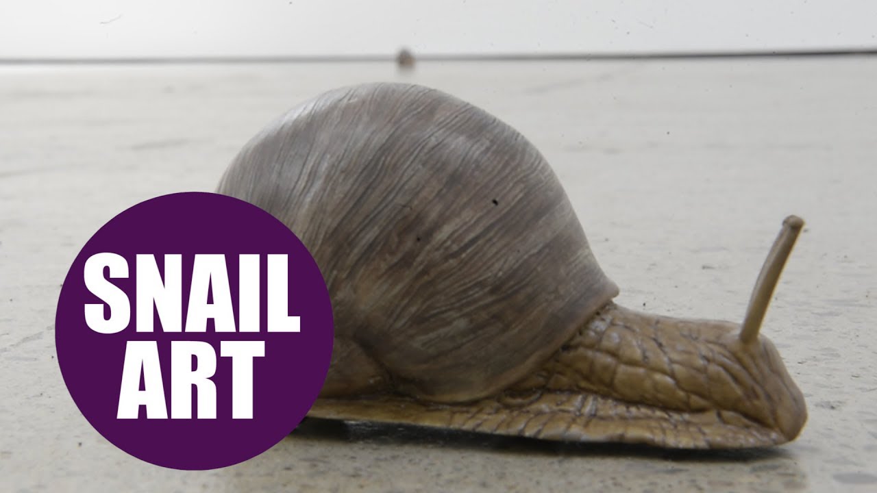 Mechanical SNAILS crawl around the floor at art gallery YouTube