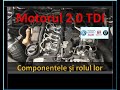 Prezentare motor 2.0 TDI CR (tutorial) #Audi, #VW, #Skoda, #Seat