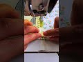 A special machine that workers use to sew zippers easily. #shorts
