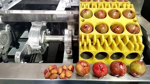 CL-I Double-channel plum core removing machine cherry pitting machine