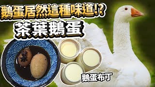 吃過鵝蛋嗎?新鮮鵝蛋4吃!一蛋四吃系列!【許伯簡芝】為什麼很少看到鵝蛋販售?