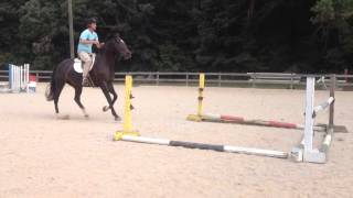 Bradley- Canter & Jumping