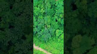 Bungee Jumping With Rope In Beautiful Place Adventures