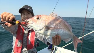 【いつでも釣り気分！】#226 タイがバクバク？！手軽に楽しく真鯛に出会う