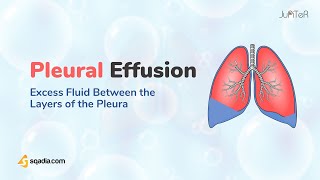 Pleural Effusion | Introduction