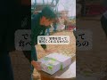 半年以上、無収入です #shorts #農業 #農家 #果物