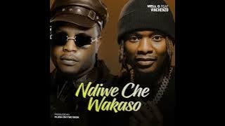 Mell G ft Vinchenzo M’bale - Ndiwe Che Wakaso  ( Prod. Plush On The Deck )  Audio