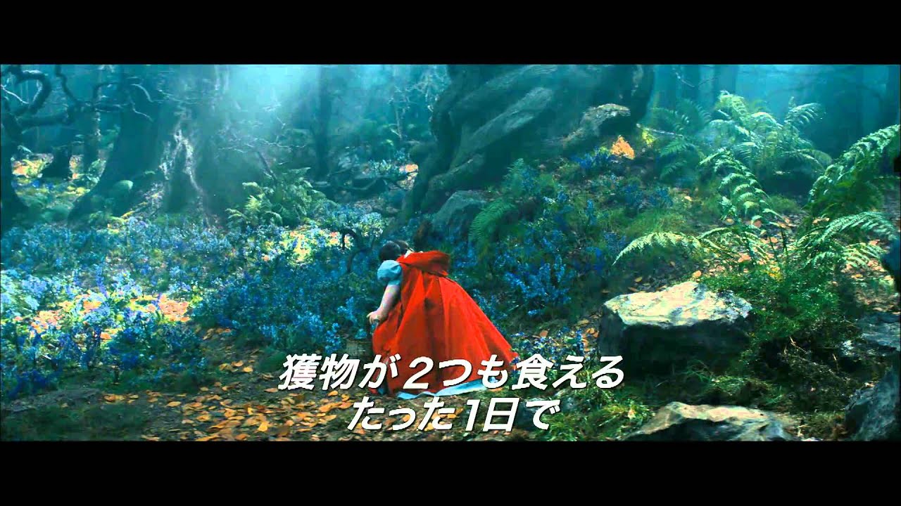 映画 イントゥ ザ ウッズのフル動画を無料視聴できる配信サービスと方法まとめ Vodリッチ