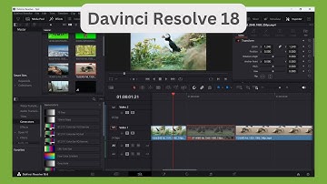 Disabling and Re-Enabling Clips in the Timeline - DaVinci Resolve 18