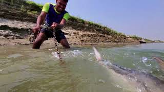 Wow Unbelievable Fishing Method In River Underwater Monster Fish Catching By Chain#fishing