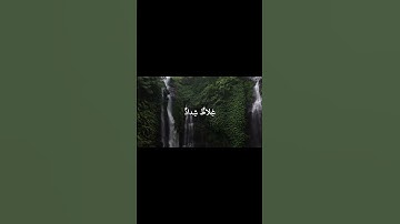 سورة التحريم - آيه ( 6 - 7 ) القارئ : احمد عبد الرزاق #قرآن