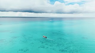 Zanzibar Tanzania Drone Shorts #drone #beautiful #beautifulnature #zanzibarbeach  #zanzibarisland