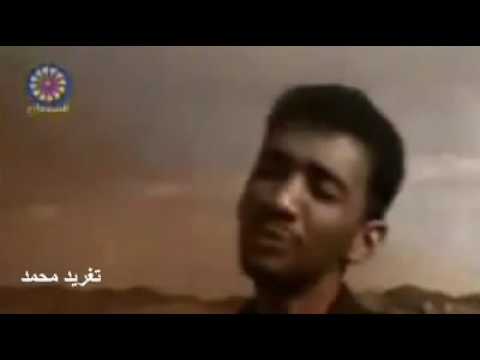 خالد محجوب فى خاطرى لحظاتنا الندية تغريد محمد