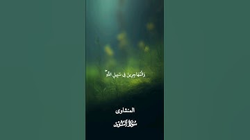 ما تيسر من سورة النور | ألا تحبون أن يغفر الله لكم | بصوت الشيخ محمد صديق المنشاوي
