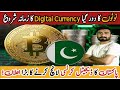 Support for E-Commerce – Boost for online businesses and freelancer | Online Earning App in Pakistan