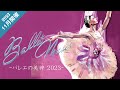 【※公演終了 】2023年11月開催 ｢Ballet Muses-バレエの美神 2023-｣PV