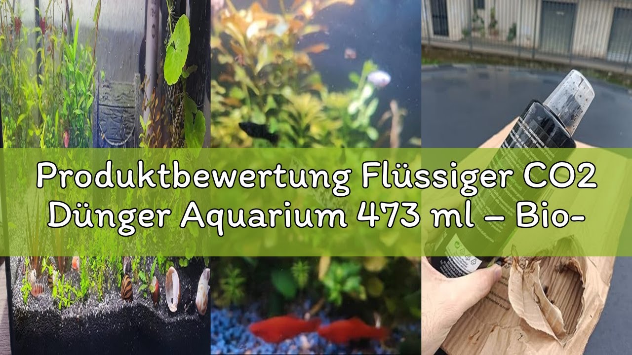 Produktbewertung Flssiger CO2 Dnger Aquarium 473 ml  Bio-CO2-Quelle fr  Wasserpflanzen  mit Bakt - YouTube
