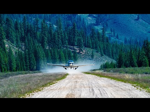 Bush Bonanza in the Backcountry