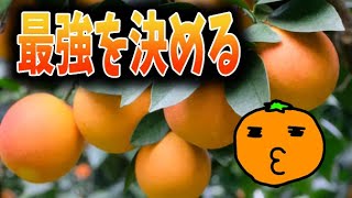 みかん最強リセマラランキング　2021年度版