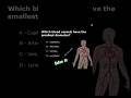 Which blood vessels have the smallest diameter? @RadiographyQA @Radiologicalmcqs #viralshorts