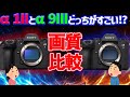 【比較】SONY α1II・α9III比較してみたよ!【画質】