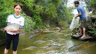 full video from start to finish: girl catches many big fish - new life