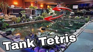 Master Plan to Play one of the Biggest Games of Fish Tank Tetris to Date screenshot 5