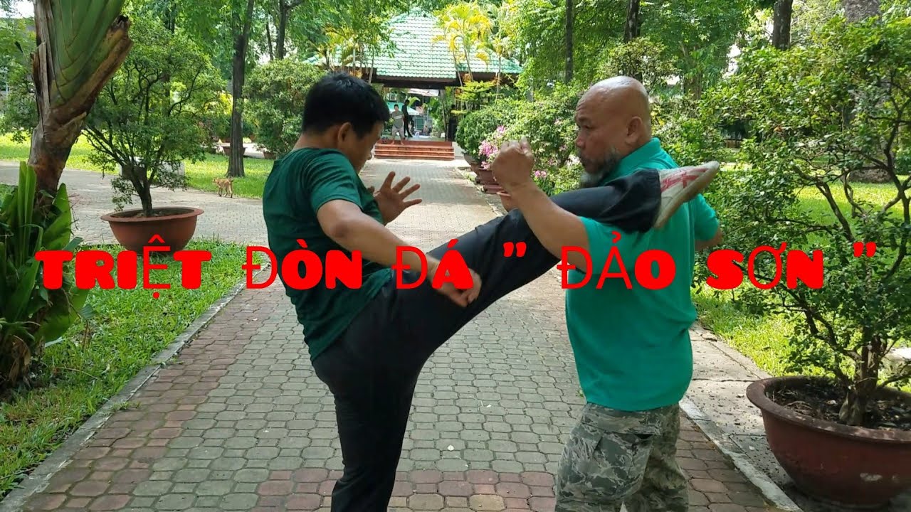 VÕ THUẬT: Triệt đòn đá 
