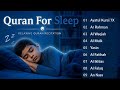 Beautiful Quran Before Sleep | Al-Fatiha,Ayatul Kursi,Surah Ar-Rahman, Al-Mulk, Yasin - By Alaa Aqel