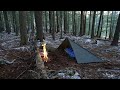 Solo Winter Tarp Camp - First Snow, Spit Roasting Wild Venison Backstrap, High Winds