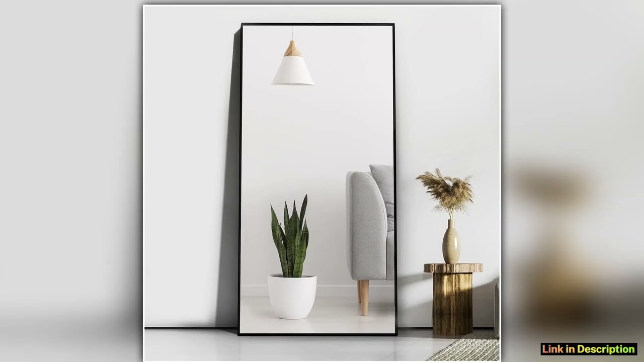CASSILANDO Full Length Mirror 65 24 Floor Standing Mirror Black Metal Frame Mirror Full Body Mirror