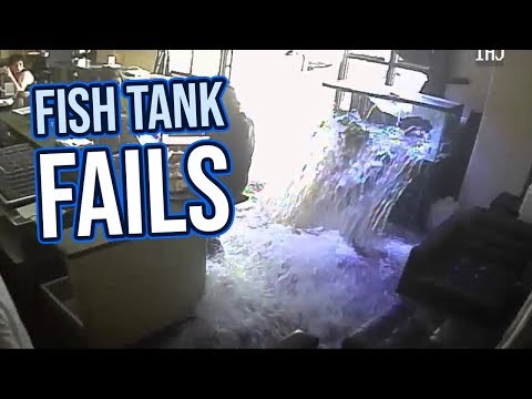 Fish Tank Fails 2018 | Funny Fail Compilation